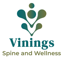 cropped-color-VININGS-Spine-and-Wellness-LOGOComp.png